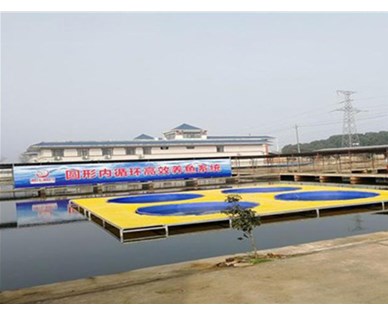 武汉智慧农研水产科技有限公司与高校联合研发智能化养殖解决方案，推动科技成果转化