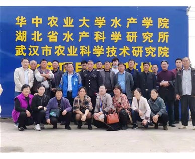 武汉智慧农研水产科技有限公司发布新一代智能养殖管理平台，提升行业自动化水平