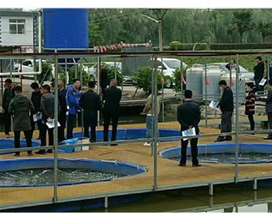  武汉智慧农研水产科技有限公司成功举办智能渔业技术交流会，推动行业合作与创新