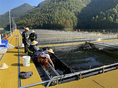 流水槽跑道养鱼