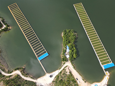 流水槽跑道养鱼