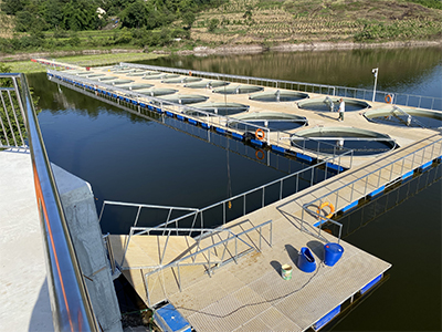 池塘内圆形圈养系统