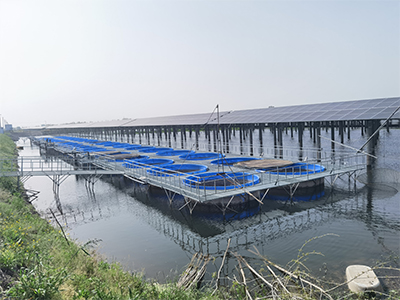 池塘内圆形圈养系统