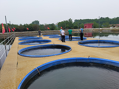 池塘内圆形圈养系统