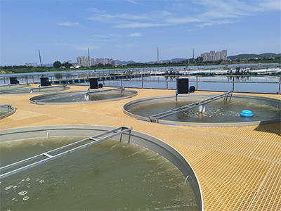 池塘内圆形圈养系统