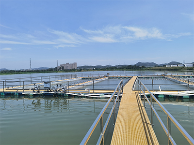 池塘内圆形圈养系统