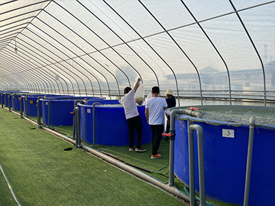 陆基循环水养殖