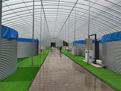 陆基循环水养殖