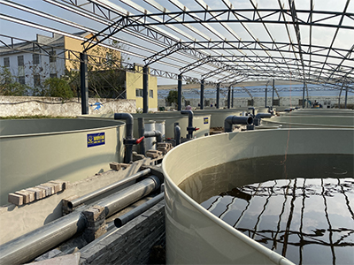 陆基循环水养殖