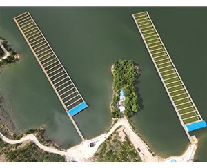 流水槽跑道养鱼