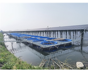 池塘内圆形圈养系统