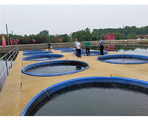 池塘内圆形圈养系统