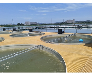 池塘内圆形圈养系统