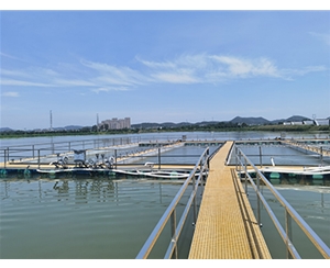 池塘内圆形圈养系统