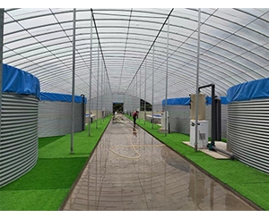 陆基循环水养殖