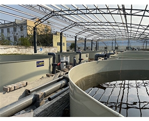 陆基循环水养殖