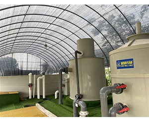 陆基循环水养殖