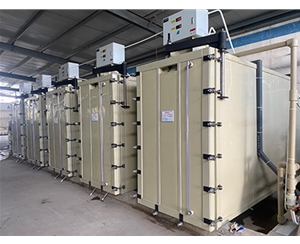 智能化禽蛋快速腌制生产线